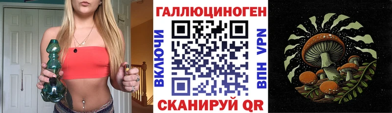 наркошоп  Сковородино  Галлюциногенные грибы Magic Shrooms 